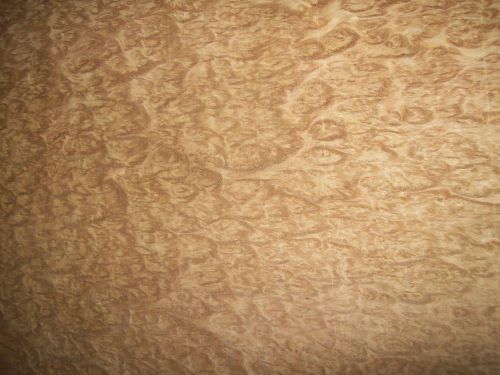 eucalyptus burl veneer 4 @ 12 x 32 [4469