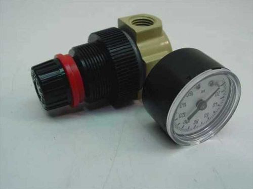 Dixon R07-200-R Mini Regulator 1/4 Inch 22 CFM with Gauge