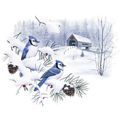 Winter Blue Jays HEAT PRESS TRANSFER for T Shirt Tote Bag Sweatshirt Fabric 213b