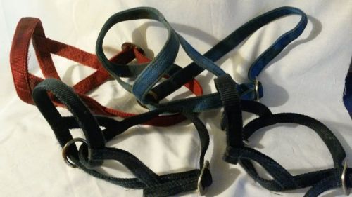 NYLON CALF HALTERS SET OF 4 VARIOUS SIZES