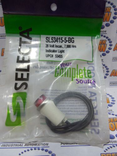 SELECTA, SL53415-5-BG, RED INDICATOR LIGHT INCANDESCENT 1/2IN OD RAISED