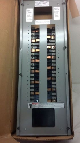 Siemens p1x42mc250a s-a p1 unassem. panel 250 for sale