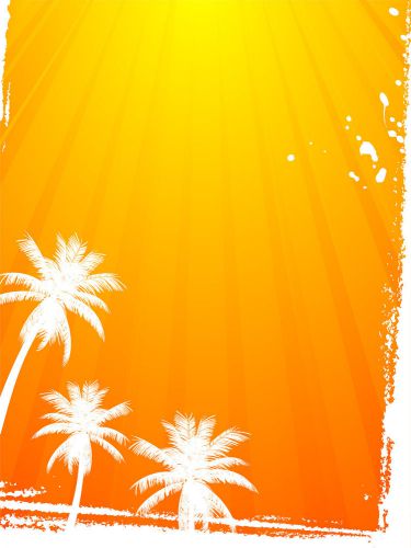 30 personalized return address beach palm trees buy 3 get 1 free (bp60) for sale