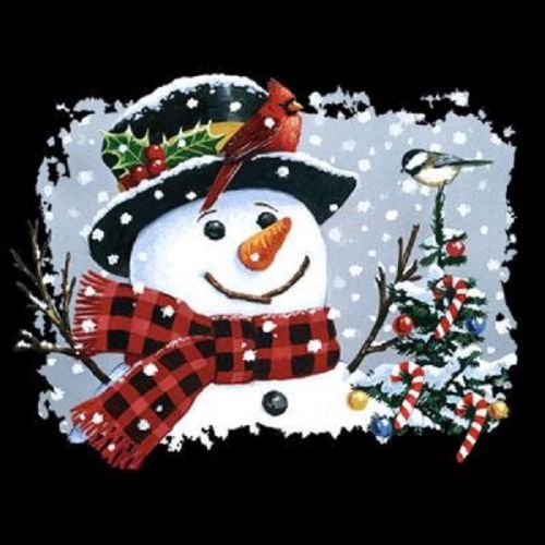 Snowman Bird Xmas HEAT PRESS TRANSFER for T Shirt Tote Sweatshirt Fabric 120b