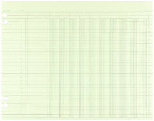 Wilson Jones Green Columnar Ruled Ledger Paper, 10 Columns and 36 Lines per