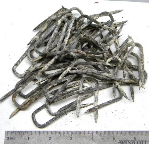 50 U SHAPED NAILS FENCE STAPLES ZINC COATED GALVANIZED