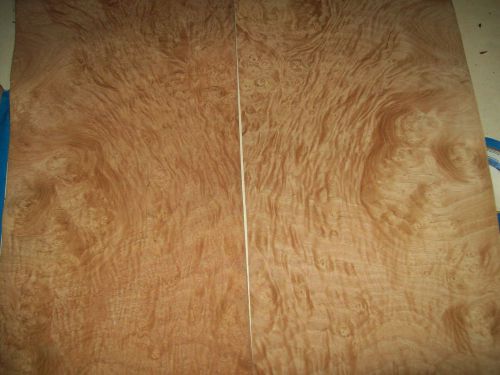 Chestnut burl veneer 5 @ 8 x 25 [1317 for sale