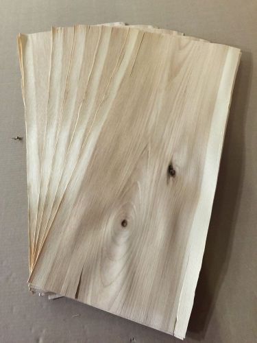 Wood veneer hickory 12x30 22 pieces total raw veneer &#034;exotic&#034; hi2 1-7-14 for sale