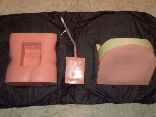 Lumbar puncture/epidural trainer/paracentesis model ultrasound compatible for sale