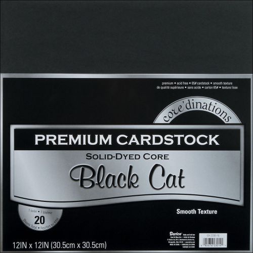 Darice Core-dinations Value Pack Cardstock 12-in x 12-in 20/Pkg GX220016