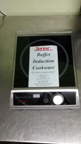 Spring USA Buffet Induction Range