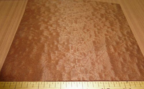 Sapele Pommele (Figured) wood veneer 6&#034; x 7&#034; with no backing (raw) &#034;AAA&#034; grade