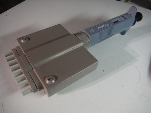 Titertek Plus 8 Channel Pipette  20-200µL