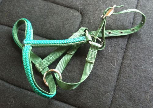 Llama Show Halter Green with Kelly Green Overlay size Medium/Large