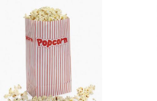 Popcorn Paper bags 12 pc