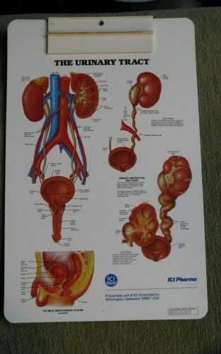 Vintage URINARY TRACT Doctors Clip Board Clipboard MEDICAL Advertise ICI PHARMA