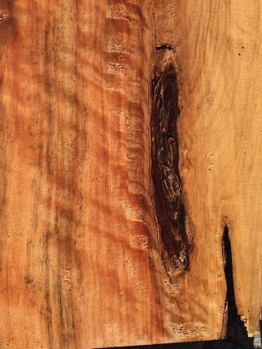 Hawaiian monterey cypress reclaimed live edge slab 15&#034;x13x1&#034; for fine woodworkin for sale