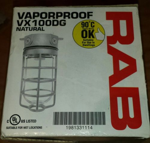 Vapor proof light vx100dg