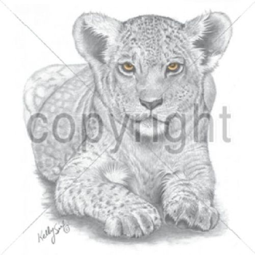 Lion Cub Portrait HEAT PRESS TRANSFER for T Shirt Tote Sweatshirt Fabric 296a