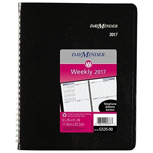 DayMinder Weekly Planner / Appointment Book 2017, 6-7/8 x 8-3/4&#034;, Wirebound,