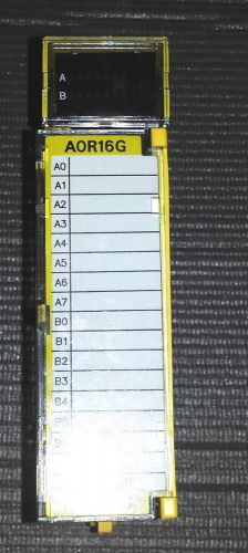 GE FANUC RELAY OUTPUT I/O MODEL A 30VDC/250VAC (AOR16G)