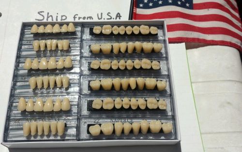 NEW 12 PLATE 22X1 A3 DENTURE AMAHACHI  ACRYLIC RESIN TEETH  A3.?? JAPAN ??