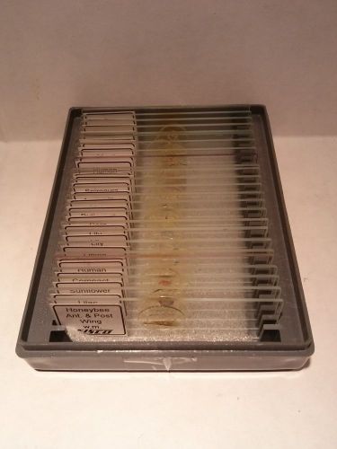 Set of 25 eisco prepared microscope basic / biology / pathology slides for sale