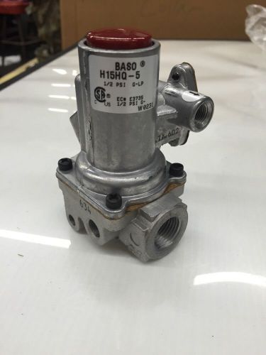 BASO Safety Valve H15HQ-5