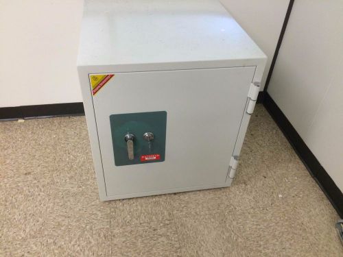 Phoenix Datacare 2000 Series Safe