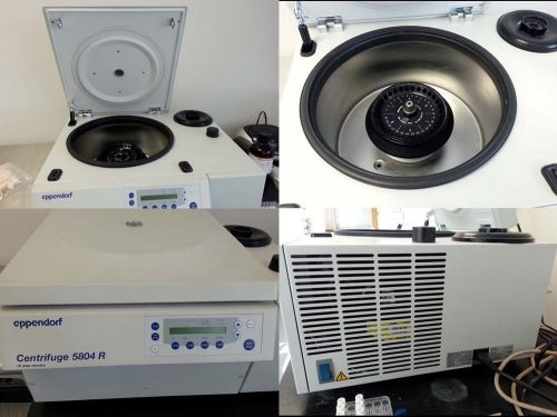 Eppendorf 5804 Refrigerated Centrifuge  w/ Rotor