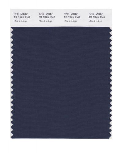 NEW PANTONE SMART 19-4025X Color Swatch Card, Mood Indigo