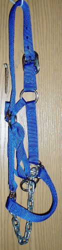 New Blue Weaver Heifer Halter w/ chain halter with FREE shipping to lower 48 USA