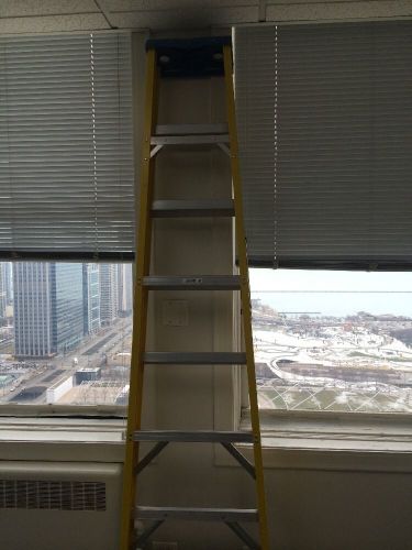 werner ladder