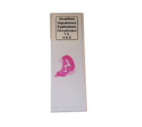 Microscope Specimen Slides - Histology &amp; Biology Sample Slides (Choice of 9)