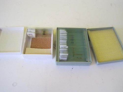 Microscope slide setsld025-eta + wolverine 30 prepared high school level life for sale