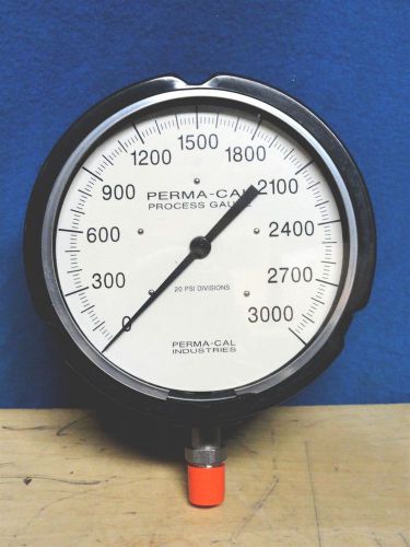 Perm-Cal * Process Gauge * Part Number 121TID14A21 * 0-3000 PSI * 4 1/2   NEW NO BOX