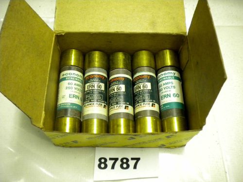 (8787) Lot of 5 Economy Fuses 5- ERN60 60A 250V