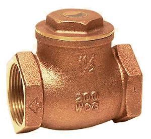 Check valve,2&#034; ips swing for sale