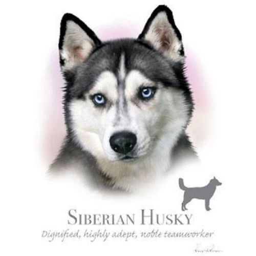 Siberian husky dog heat press transfer for t shirt tote sweatshirt fabric 911h for sale