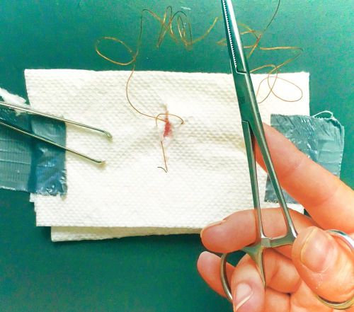 V. mueller skin closure instrument set / suture set. needle holder and forcep. for sale