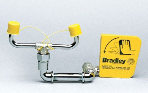 Bradley S19-240 Laboratory Eyewash