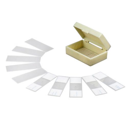 10 prepared &amp; blank microscope glass slides for sale