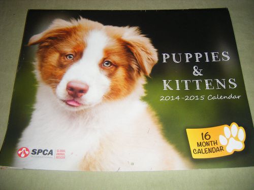 PUPPIES &amp; KITTENS 2015 CALENDAR (16 MONTHS - INCL LAST 4 MONTHS OF &#039;14)