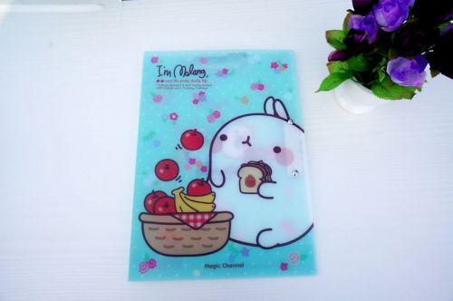 Molang cute Office A4 Paper File Folder, Double Lever File Cover : Fruit Basket