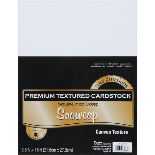 Darice Core-dinations Value Pack Cardstock 8-1/2-in x 11-in 40/Pkg GX220030