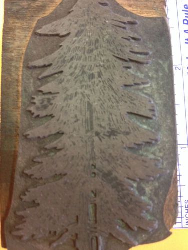 Vintage letterpress wood block, Pine tree