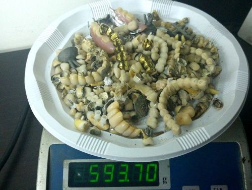 593.70  GRAMS DENTAL SCRAP