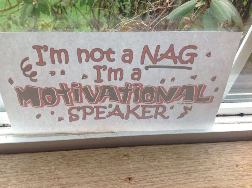 tshirt hear transfer im not a nag im a motivational speaker lot of 12