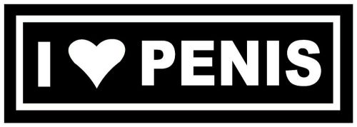 I LOVE PENIS GAY PRIDE Funny GAG Vinyl Decal Car window Sticker laptop 12 inch