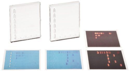 NEW Edvotek S-42-20 DNA GelSizer for 2 Gels and 2 Images